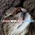 Anne Selway's profile image