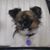 Jane Riebe-Tritten's profile image