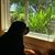 Sharon Rau Zinck's profile image