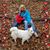 Laura LaShomb's profile image