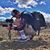 Matthew Dockery's profile image
