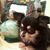 Anna Bosco's profile image