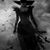 Brenda Nicholson's profile image