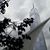 Simone Grosse's profile image