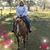Deborah Busch Bateholts's profile image