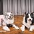 Rhonda Huffman's profile image