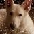 Dyan Lynn Leonard's profile image