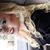 Jessica Alyse's profile image