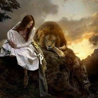 Tami Davidson Neal's profile image