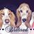 Carrie L Atkinson's profile image