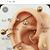 Lisa Clark's profile image