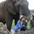 Debbie Baldauf's profile image