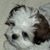 Robbie Menges's profile image