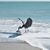 Marie Buchner's profile image