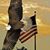 Ihab Alqubbaj's profile image