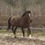 Lori Eaton's profile image