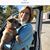 Paula Lyn Dryden's profile image