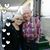 Jeanne Lealtad's profile image