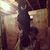 Tayler Rinehart's profile image
