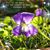 Kathy Kiser's profile image