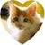 Donna J Erickson's profile image