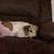 Colleen McGuire Heraty's profile image