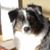 Lynn Loichle's profile image