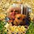 Stephanie Levine's profile image