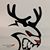 George Cobb IV's profile image