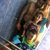 Leticia Salinas's profile image