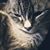 Marisa Pena's profile image