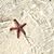 Kim Selleck Kelly's profile image