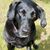 Jeffrey Paul Cronin's profile image