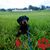 Morgan Zollars's profile image