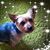 Aprile Soderquist's profile image