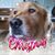 Julie Chaplin Greenburg's profile image