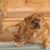 Denice Fredrickson's profile image