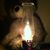 Ronda Harris Hanneman's profile image