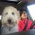 Gina Rosado Lybarger's profile image