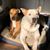 Tiffany Glavan-Humbert's profile image