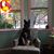 Bobbie Bingham's profile image