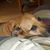 Stefani Neese's profile image