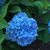 Karen Richardson Simpson's profile image
