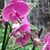 Kelley Osborn-Williams's profile image