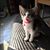 Sara Jones Onsen's profile image