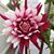Kelly Tracey's profile image