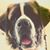 Lindsey Meisner's profile image