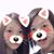 Ariel Chen's profile image