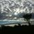 Sherril Kuhn-Throckmorton's profile image