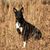 Tracey van Gennip's profile image